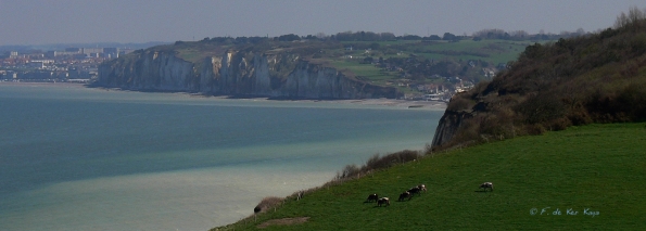 Falaise Varengeville (3)